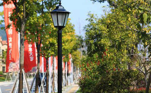 装前海街道庭院灯避坑指南:庭院路灯防雷接地要点 装前海街道庭院灯避坑指南:庭院路灯防雷接地要点